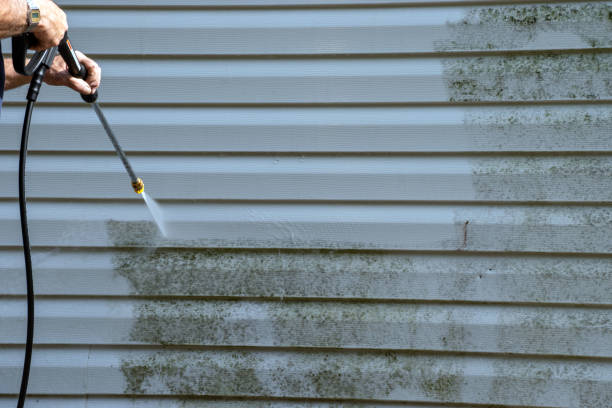 Best Attic Cleanout  in Rome, NY